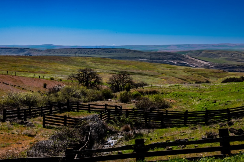 The Dalles Mountain Ranch