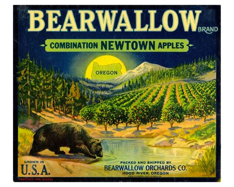 Bearwallow-Newtown-Apples