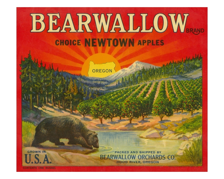 Bearwallow Brand