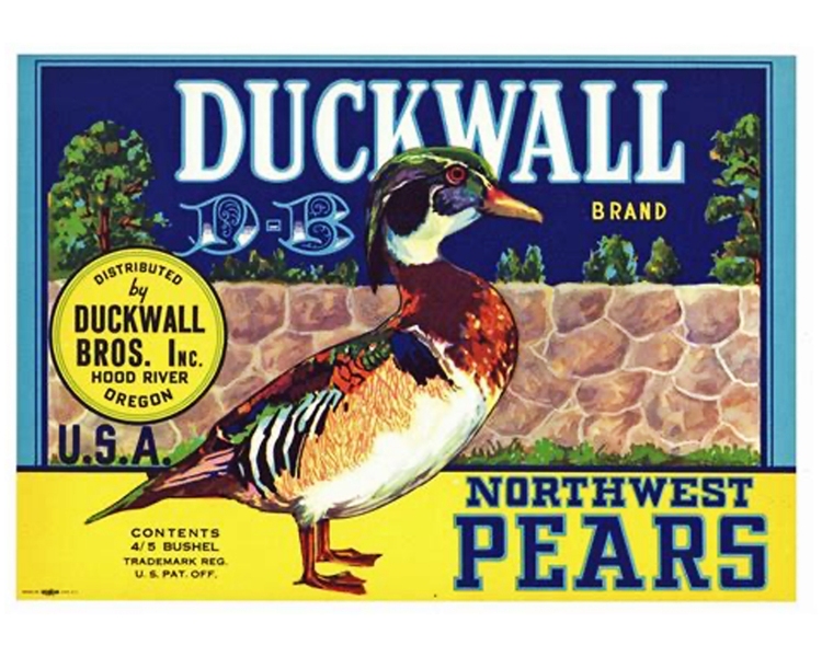 Duckwall-pears-2