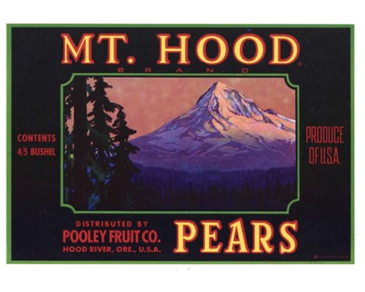 Mt-Hood-Pears