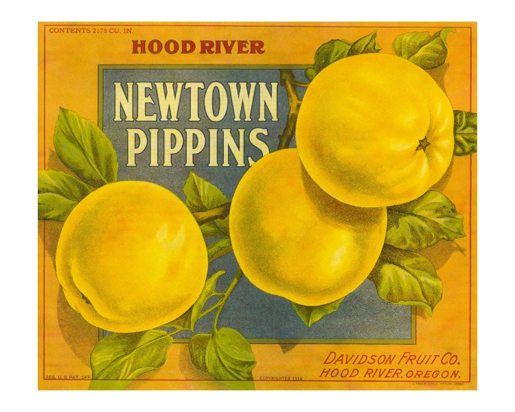 Hood River Newtown Pippins
