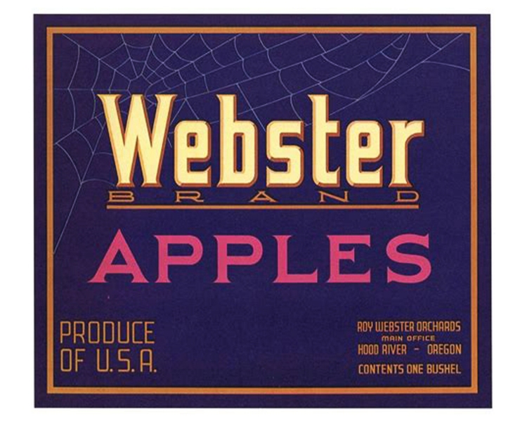 Webster-Brand