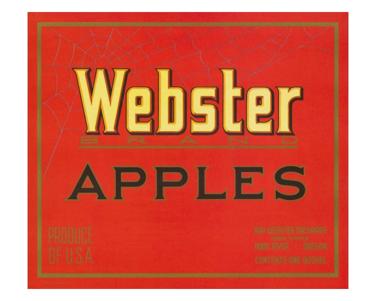 Webster Brand